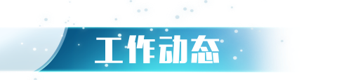 工作动态